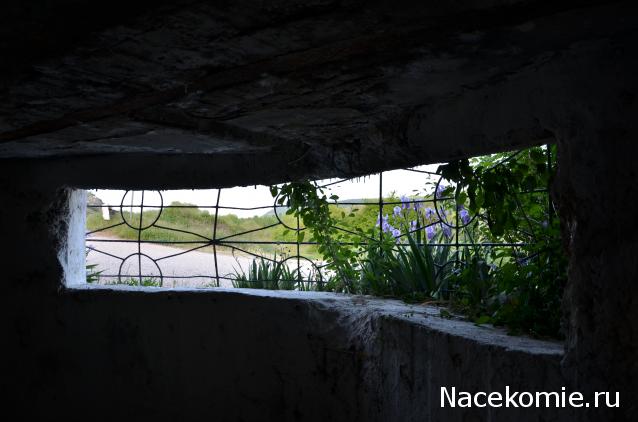 Танкодром (Общая Болталка танковых разделов)