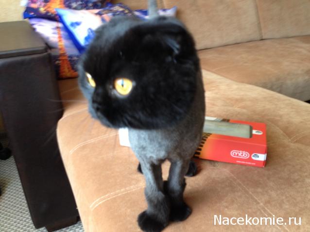 Моя коллекция отечественного ПС