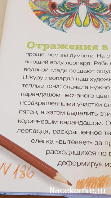 Арт-Терапия - График выхода и обсуждение