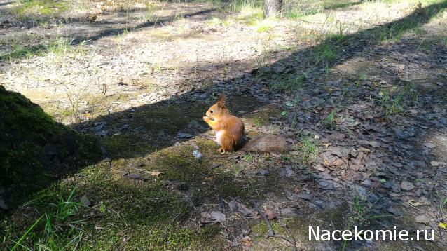 Мой любимый город или дорогие сердцу места