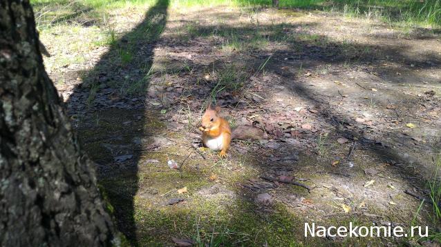 Мой любимый город или дорогие сердцу места