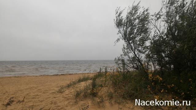 Мой любимый город или дорогие сердцу места