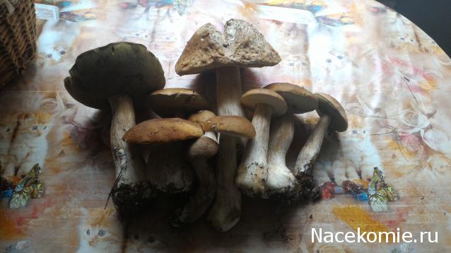 Мой любимый город или дорогие сердцу места