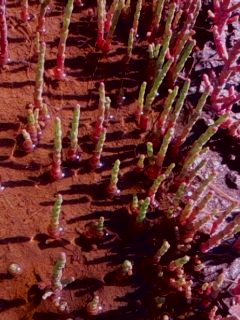 Мой любимый город или дорогие сердцу места