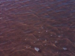 Мой любимый город или дорогие сердцу места