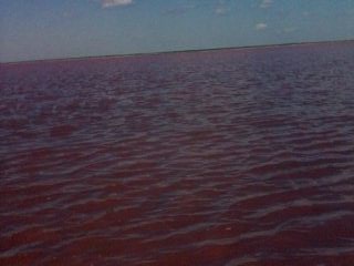 Мой любимый город или дорогие сердцу места