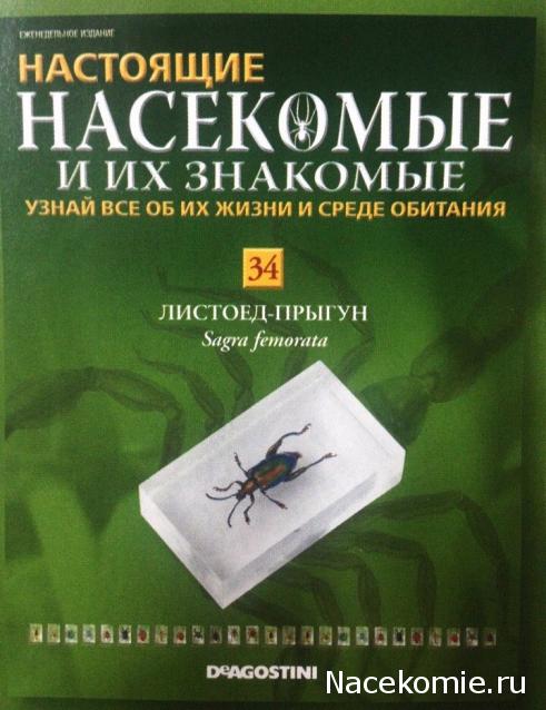 Насекомые и их знакомые Перезапуск 2016 - График выхода и обсуждение