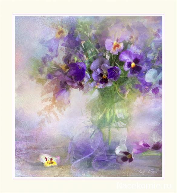 Наши Дни Рождения