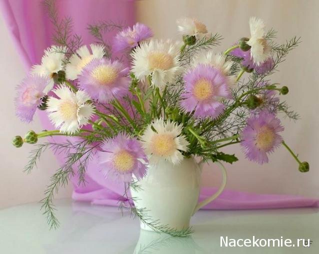 Наши Дни Рождения