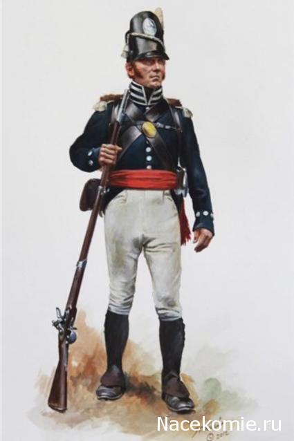 Наполеоновские Войны - График выхода и обсуждение