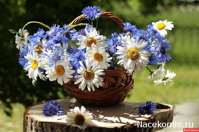 Наши Дни Рождения