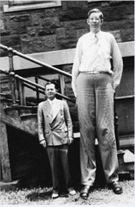 Наполеоновские Войны - График выхода и обсуждение