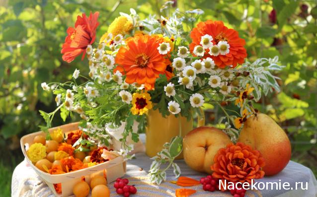 Наши Дни Рождения