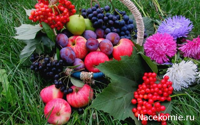 Наши Дни Рождения