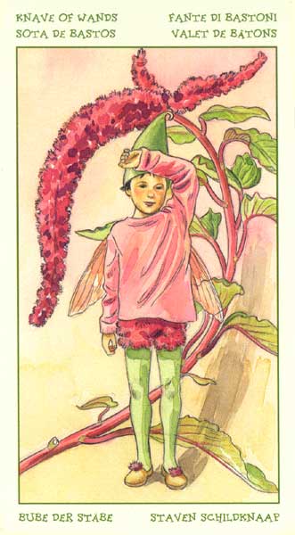 Таро Цветов