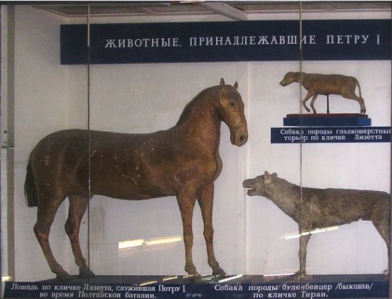 Ратник