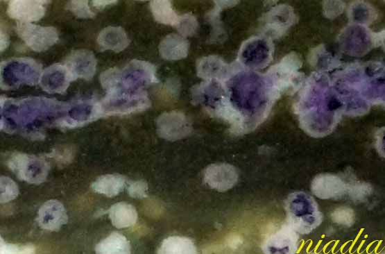 Энергия Камней №108 - Атлантисит