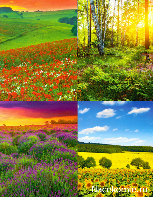 Куклы в Народных Костюмах - Конкурс "Как будто заблудившись в нежном лете..."