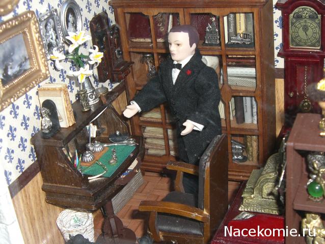 daffodil - Румбокс в бордовых тонах