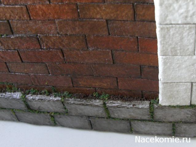 daffodil - Румбокс в бордовых тонах