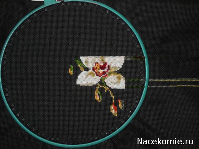 100 крестиков!