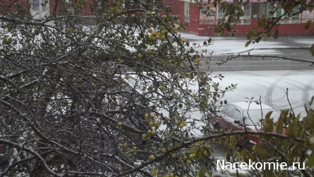 Куклы в народных костюмах – "Девчушки-болтушки"