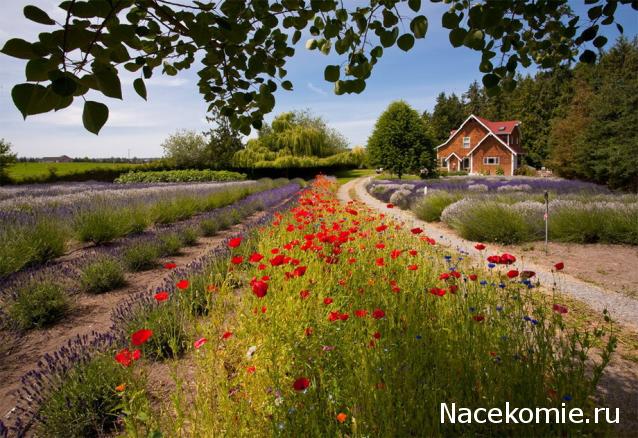 Наши Дни Рождения