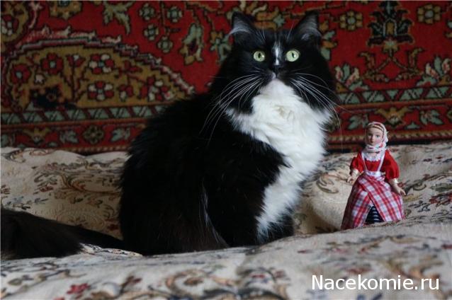 Куклы в народных костюмах №61 Кукла в жатвенном костюме Олонецкой губернии