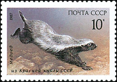 Беседы о филателии и не только (Трёп)