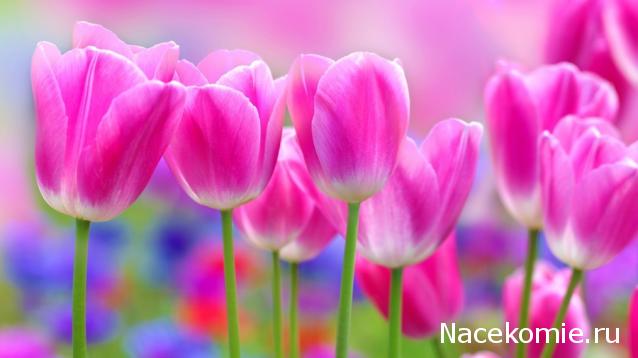 Куклы в Народных Костюмах - Конкурс "Как будто заблудившись в нежном лете..."