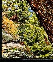 Беседы о филателии и не только (Трёп)