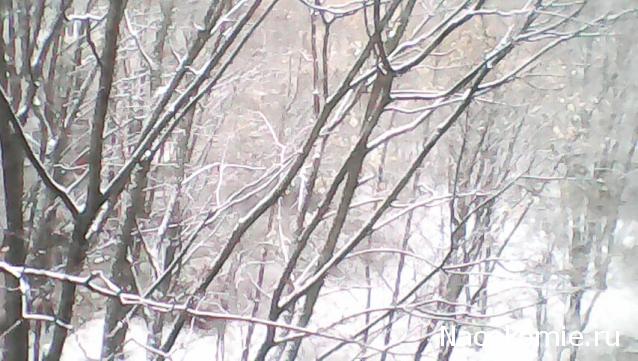 Болталка АЛ и АНС