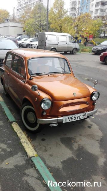 Автолегенды вживую