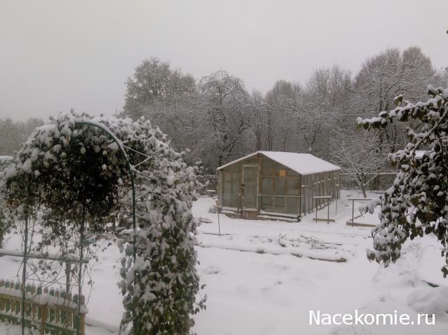 Болталка АЛ и АНС