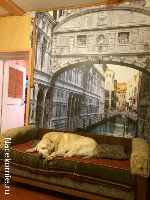 arenzodream - Как важно быть несерьезным... Много домиков хороших и разных...