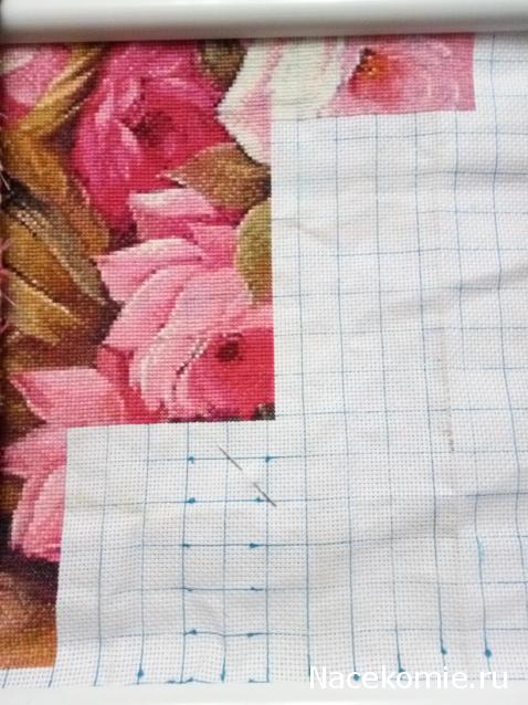 100 крестиков!