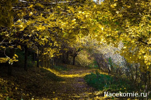 Мой любимый город или дорогие сердцу места