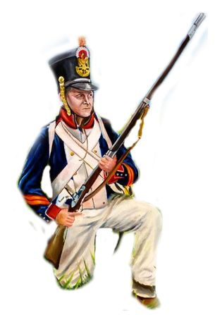 Наполеоновские Войны - Новая флудилка