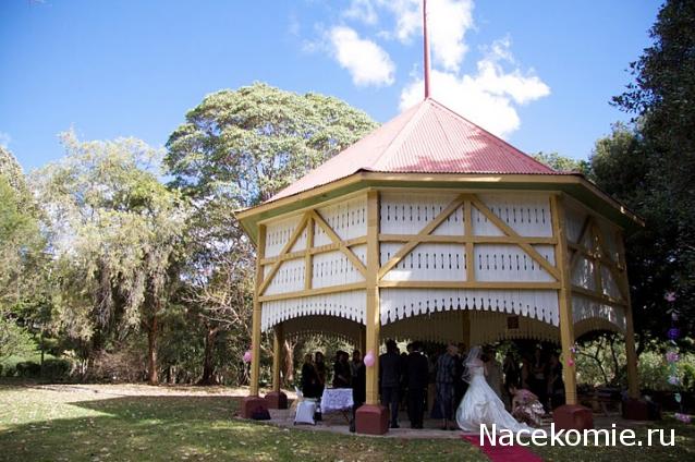 Strela. Банкноты и монеты - путешествие по свету!