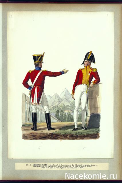 Униформология НВ: Иностранные полки Великой Армии