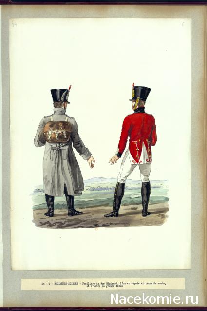 Униформология НВ: Иностранные полки Великой Армии