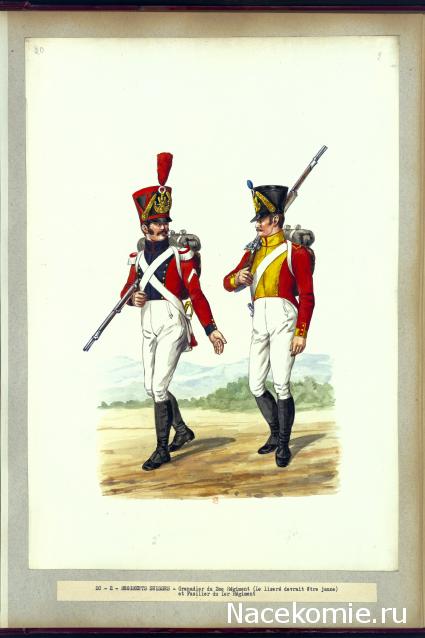 Униформология НВ: Иностранные полки Великой Армии