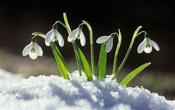 Наши Дни Рождения