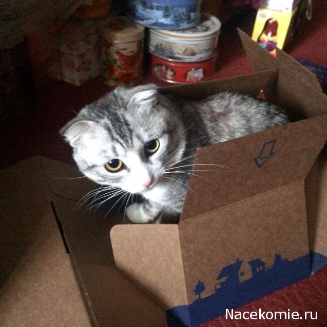 Приятности к НГ 2017