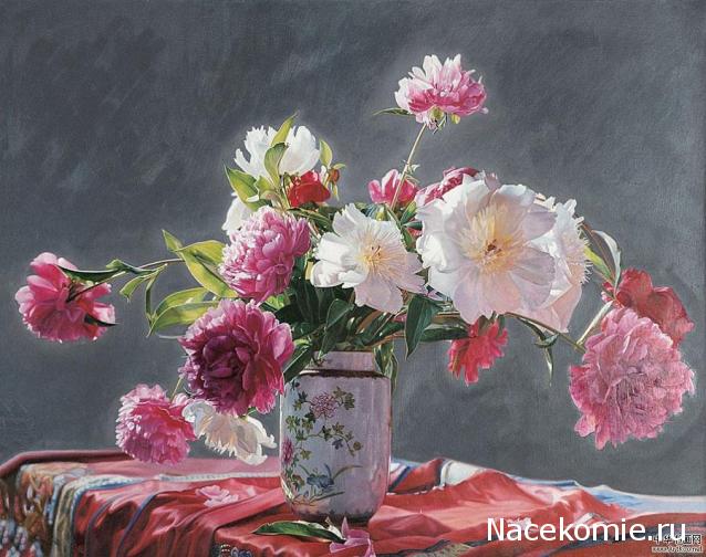 Наши Дни Рождения