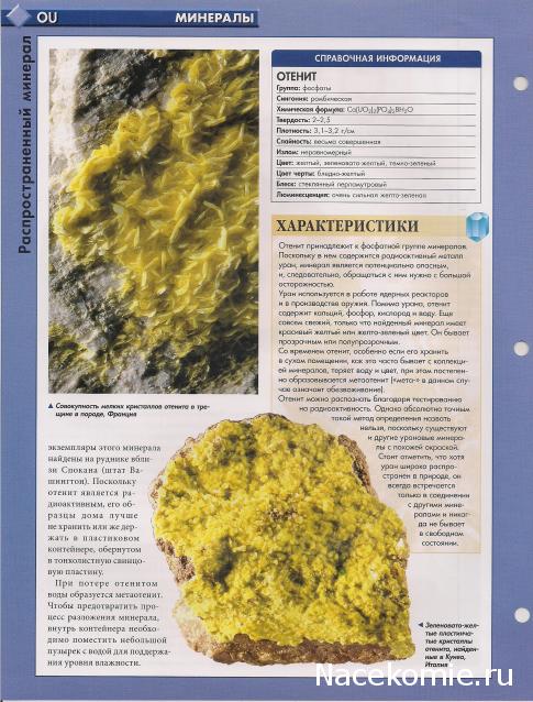 Тестовая серия