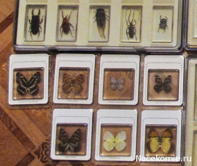 Тестовая серия