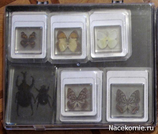 Тестовая серия