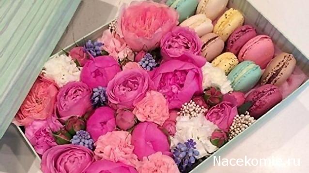 Наши Дни Рождения