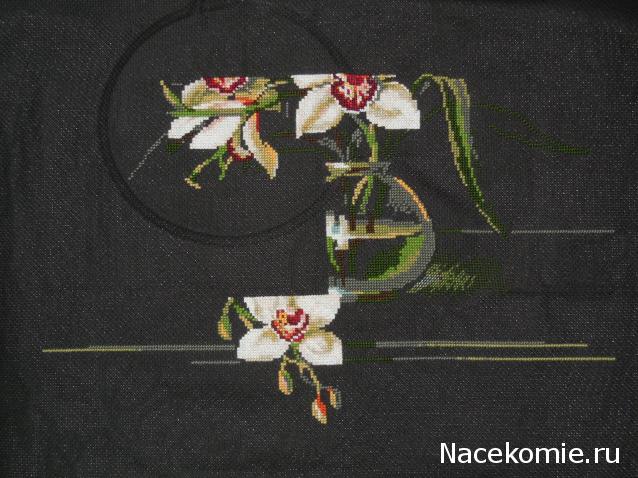 100 крестиков!